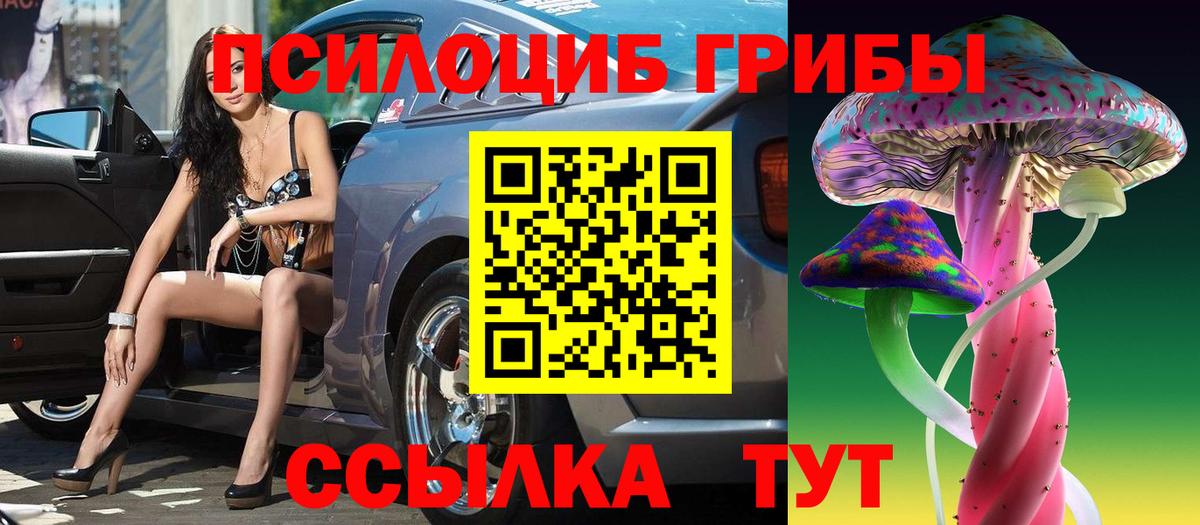 Мытищи  цены   Вход с VPN  Галлюциногенные грибы прущие грибы 